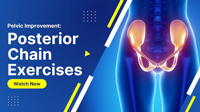 3 - Pelvic Improvement:  Posterior Ch...