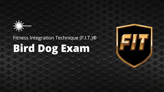 Bird Dog Exam