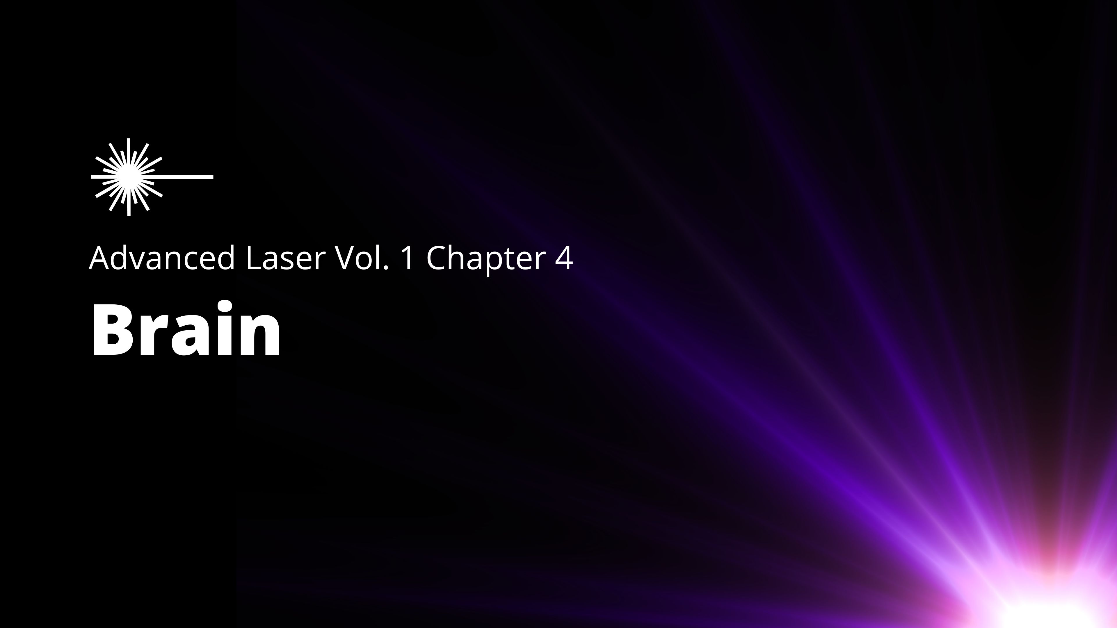 Advanced Low-Level Laser Therapy Vol 1 - Chapter 04 - Brain