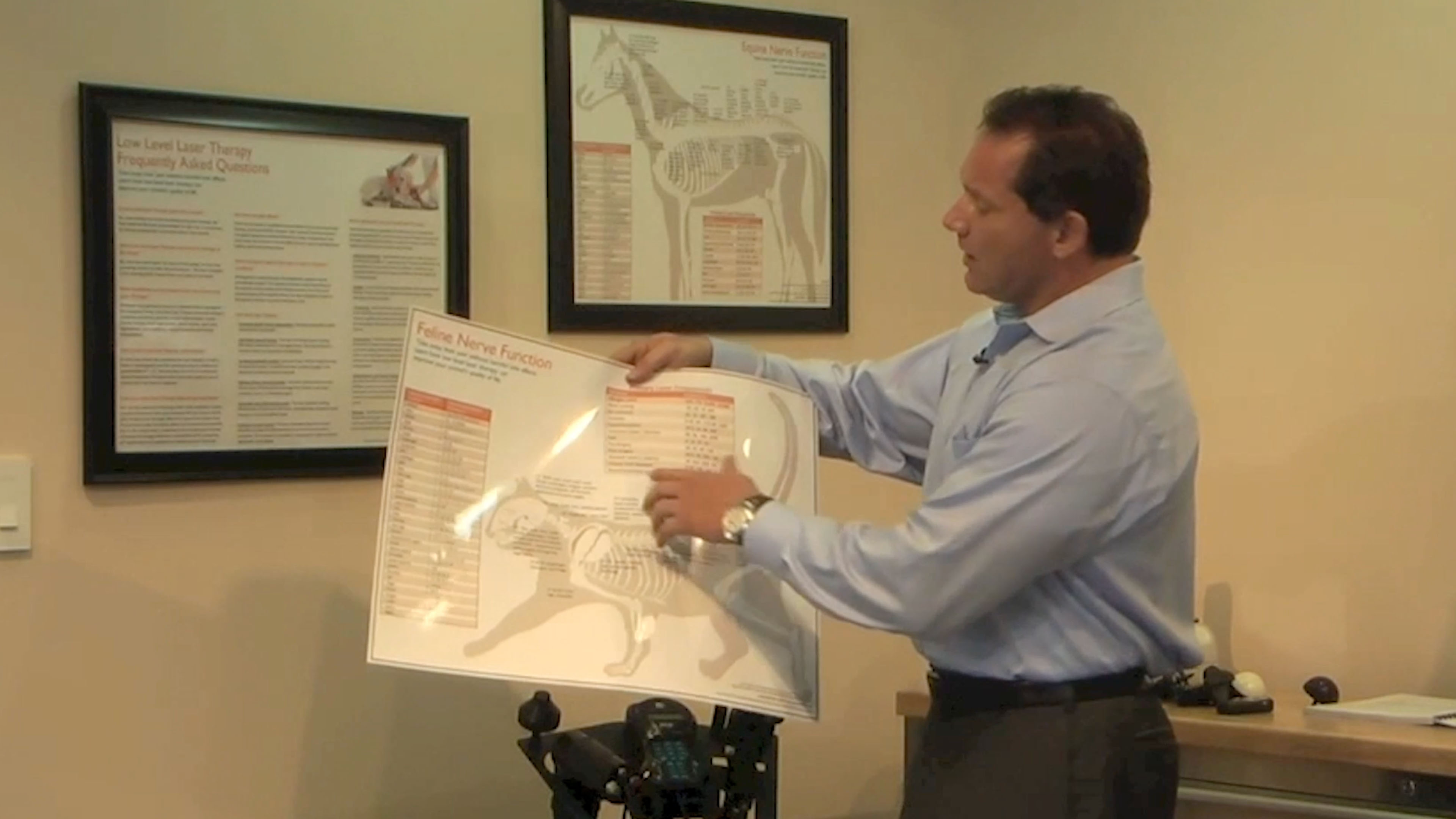 Veterinary Cold Laser Therapy Posters - Dr. Jerome Rerucha