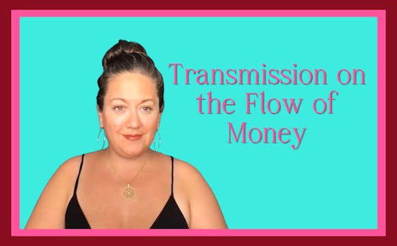 Transmission on The Flow of Money