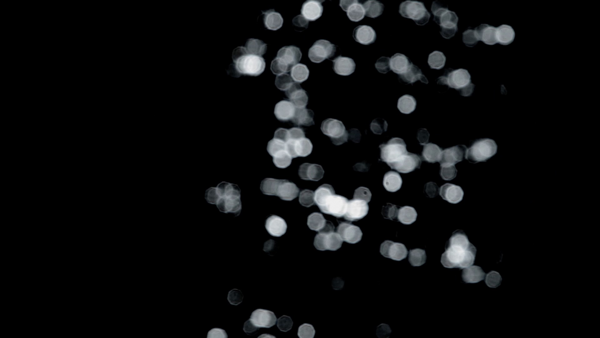 Persistence of Memory