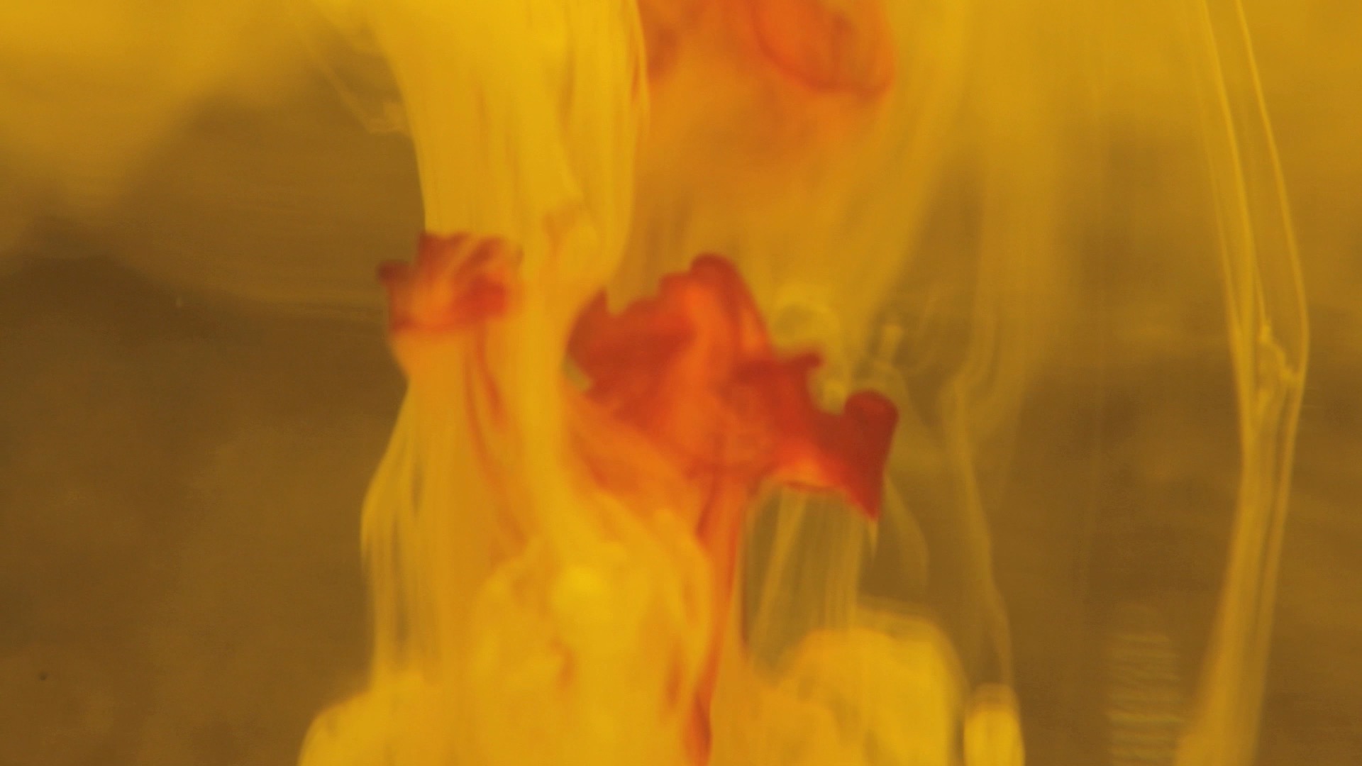 Persistence of Memory