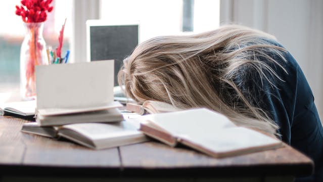 BounceCircuit ~ Crash & Burn 