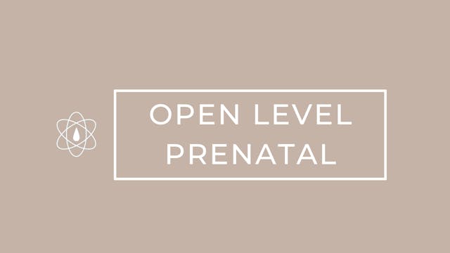 Open Level | Prenatal | Full Body Sculpt