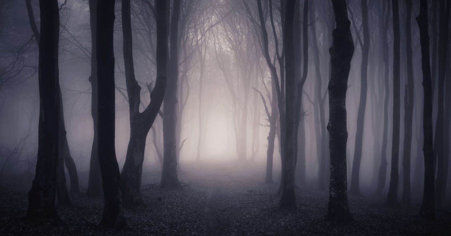 BounceCircuit Express ~ Nightmare