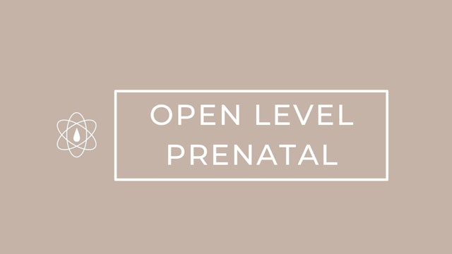 Open Level | Prenatal | Chair Workout 