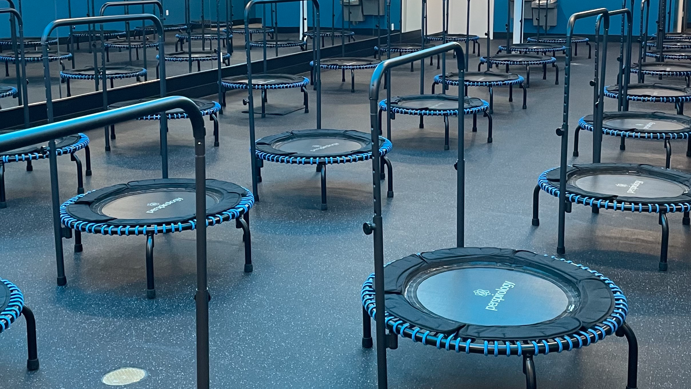 Bounce Express | 12 | 18 | 24