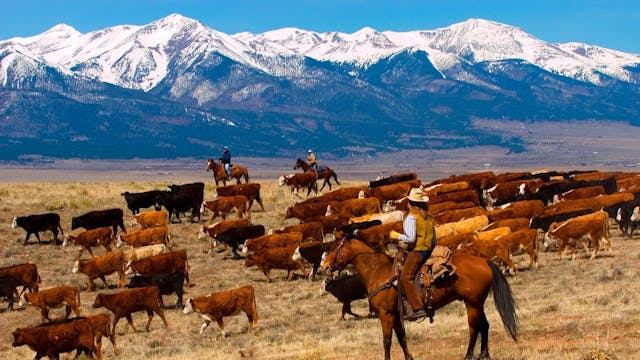 Sculpt ~ Equipment Roundup! 