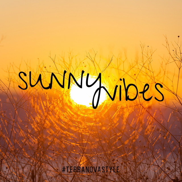 BounceBurn ~ Sunny Vibes! 