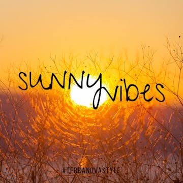 BounceBurn ~ Sunny Vibes! 