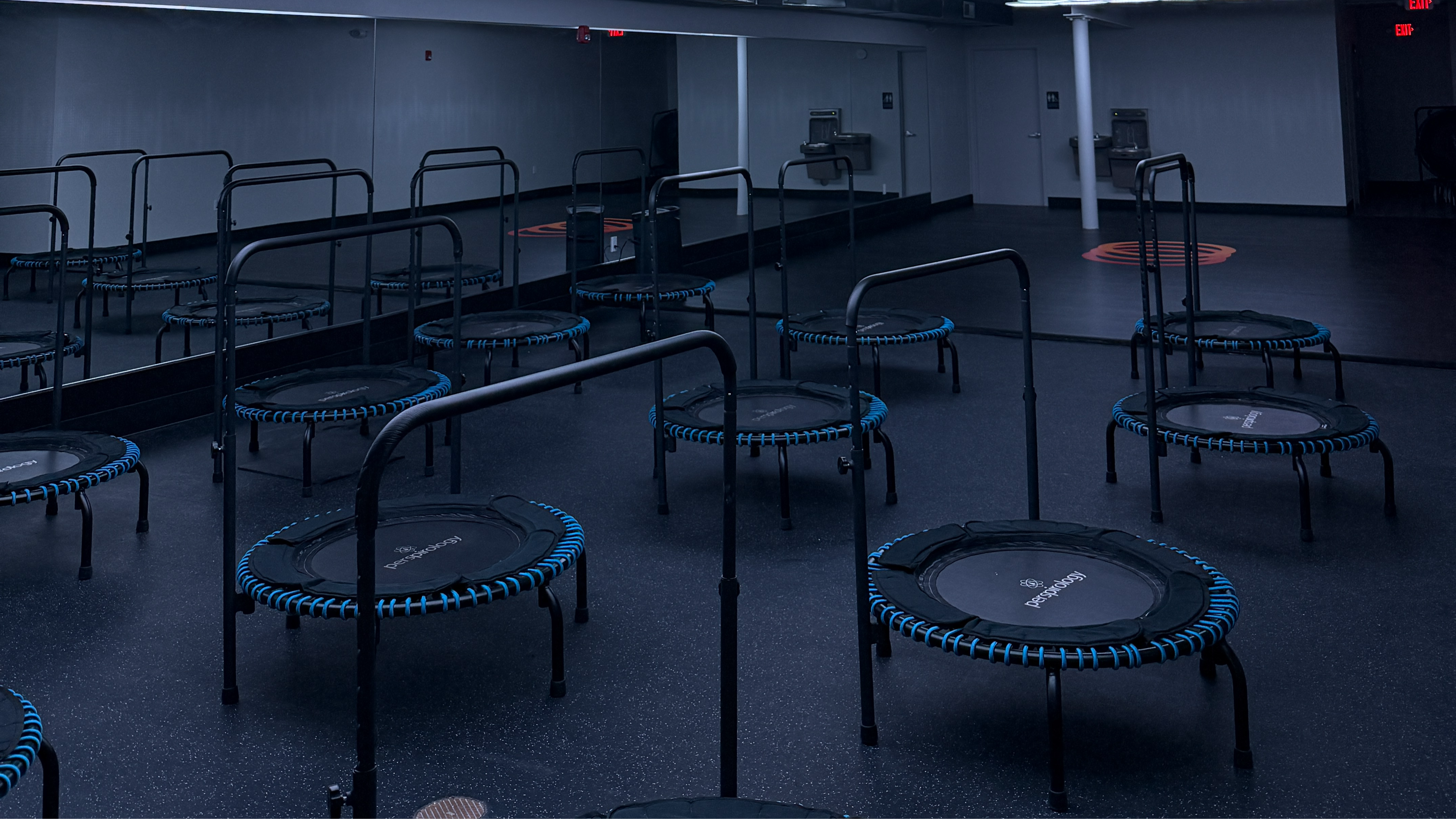 Bounce Express 5 | 3 | 25