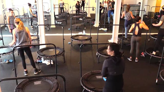 BounceCIRCUIT 3/1/19