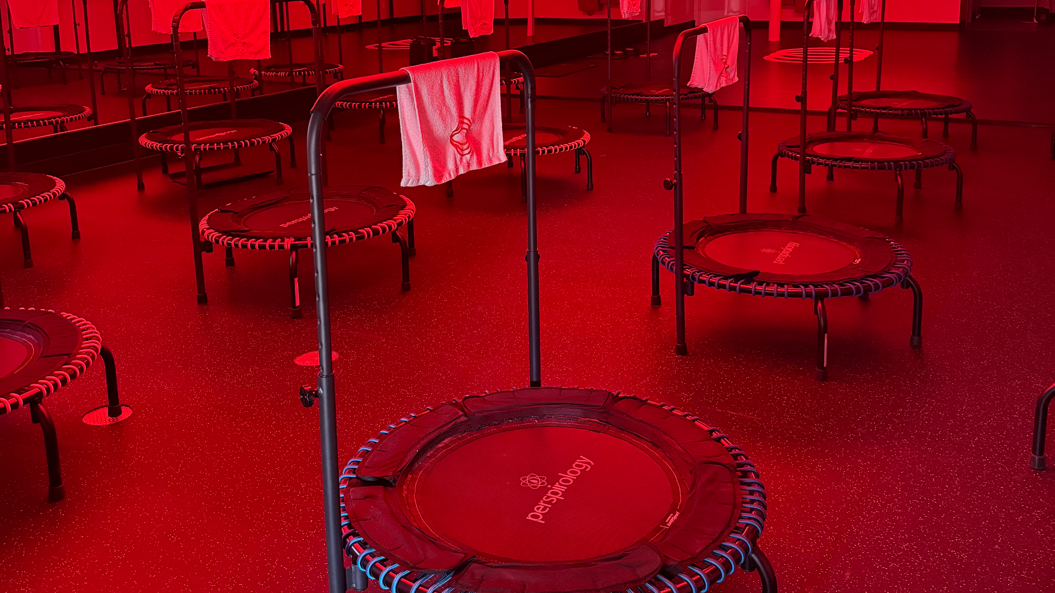 Bounce 30 | 30 | Sunday Style