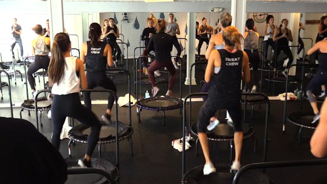 BounceCircuit 11:1:19