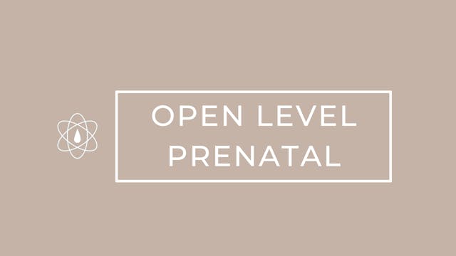 Open Level | Prenatal | Sunday Funday...