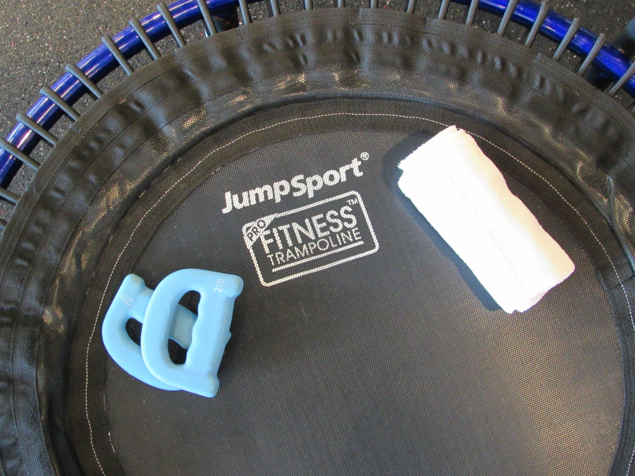 BounceCircuit ~ Wild One! 