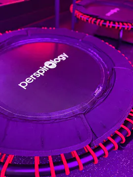 It's Bounce Circuit Time!