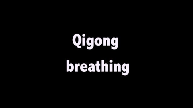 Taichi shibashi 10 - Lower abdominal breathing