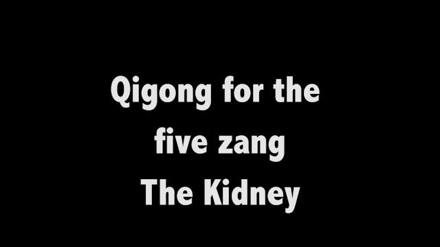 Qigong for the five zang 03 - The kidney