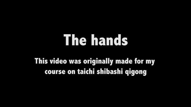 Baduanjin 23 - The hands