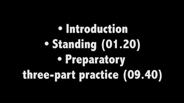 Baduanjin 03 - Standing and three part preparatory neigong practice