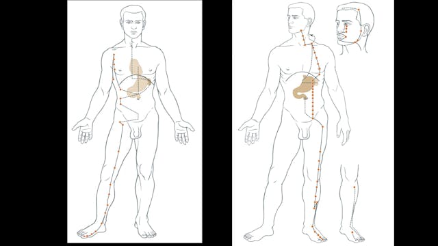 Qigong for the five zang 05 - The spleen