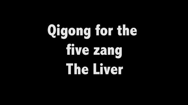 Qigong for the five zang 06 - The liver