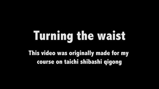 Taichi shibashi 13 - Turning the waist