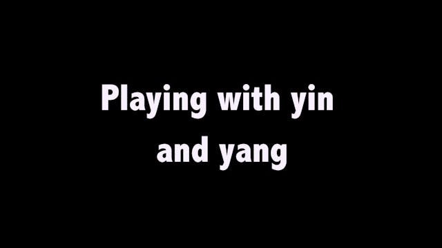 Taichi shibashi 14 - Playing with yin yang