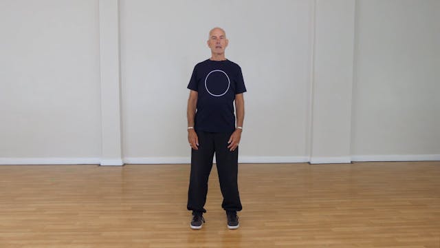 Mini qigong 06 - Mobilising the feet 05