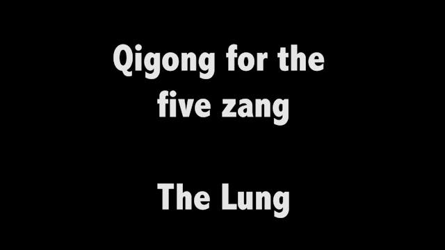 Qigong for the five zang 04 - The lung