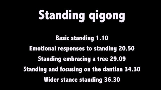 Taichi shibashi 11 - Standing qigong in detail