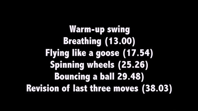 Taichi shibashi 07 - Movements fifteen to seventeen