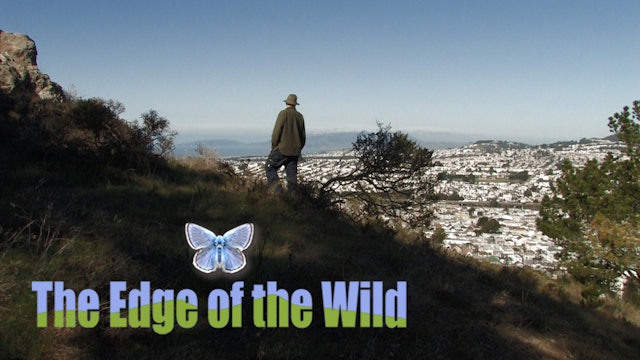 The Edge of the Wild