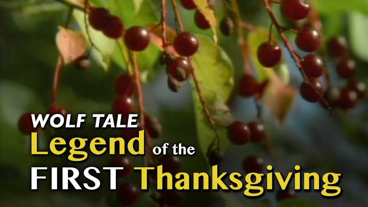 WOLF TALES: Legend of the First Thanksgiving