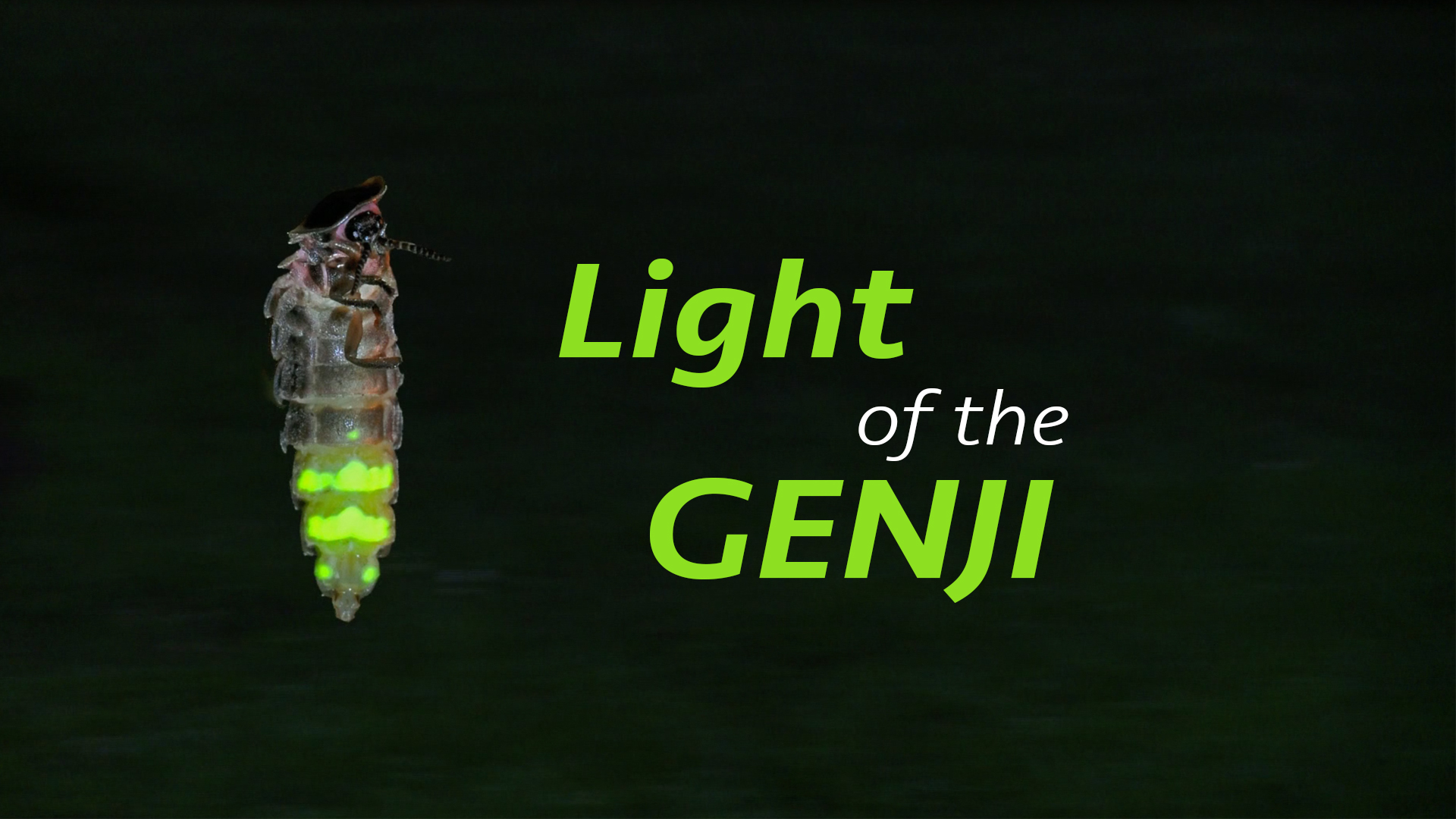Light of the Genji