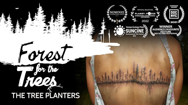 FOREST FOR THE TREES - The Tree Planters. For EDU media servers