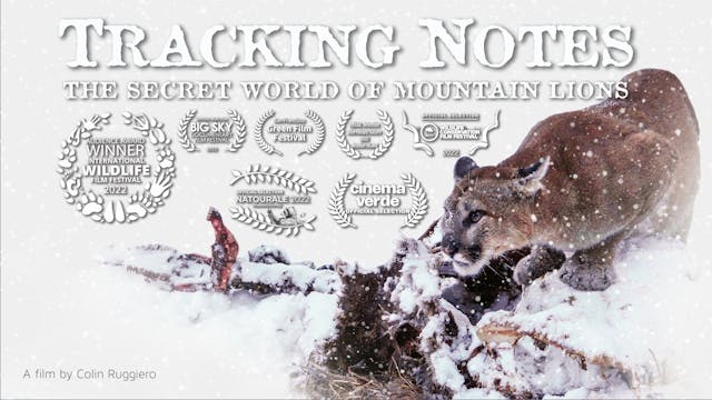 TRACKING NOTES - The Secret World of Mountain Lions  - for EDU Media Servers