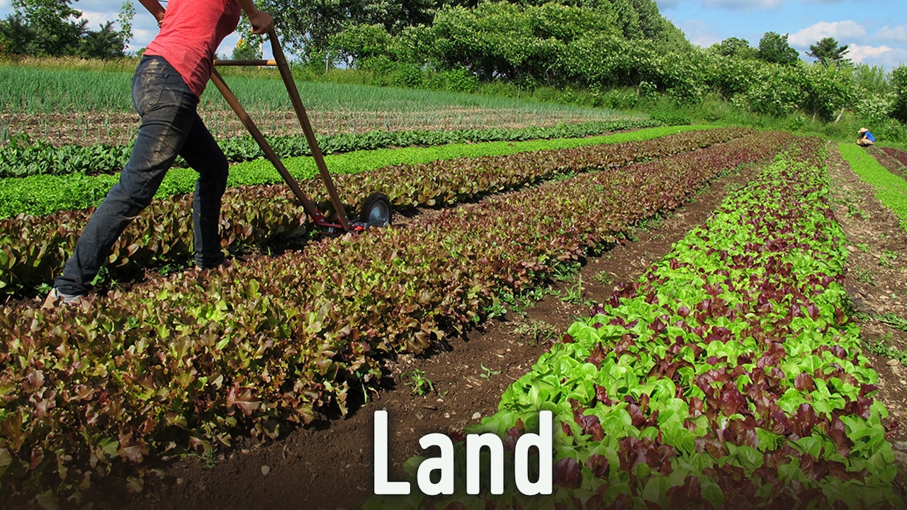 Food, Agriculture, Forestry, Soil, Minerals and Natural Resources