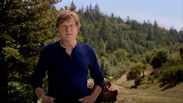 Preview The New Environmentalists