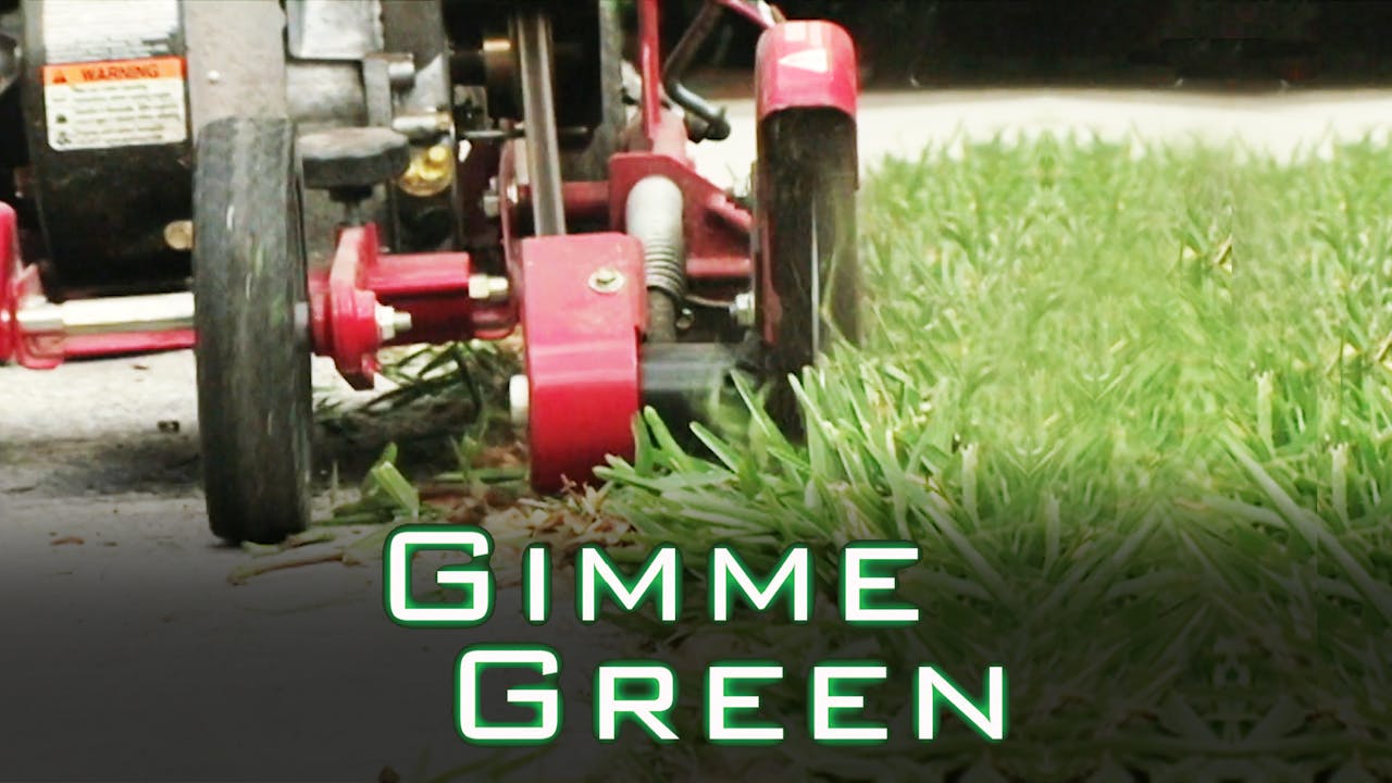 Gimme Green