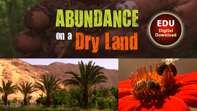 Abundance on a Dry Land - EDU
