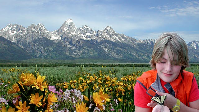 A Kid for the Wild Compilation