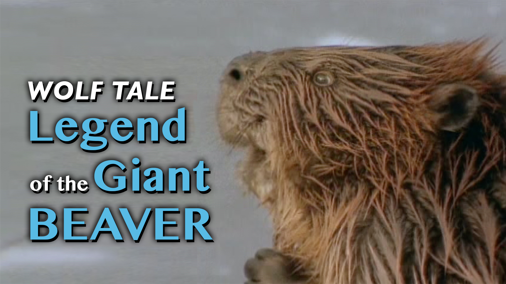 Wolf Tale: Legend of the Giant Beaver