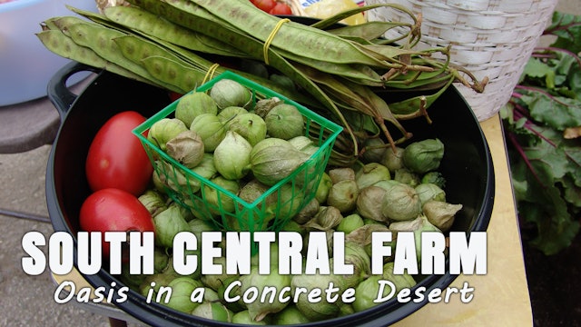 South Central Farm: Oasis in a Concrete Desert