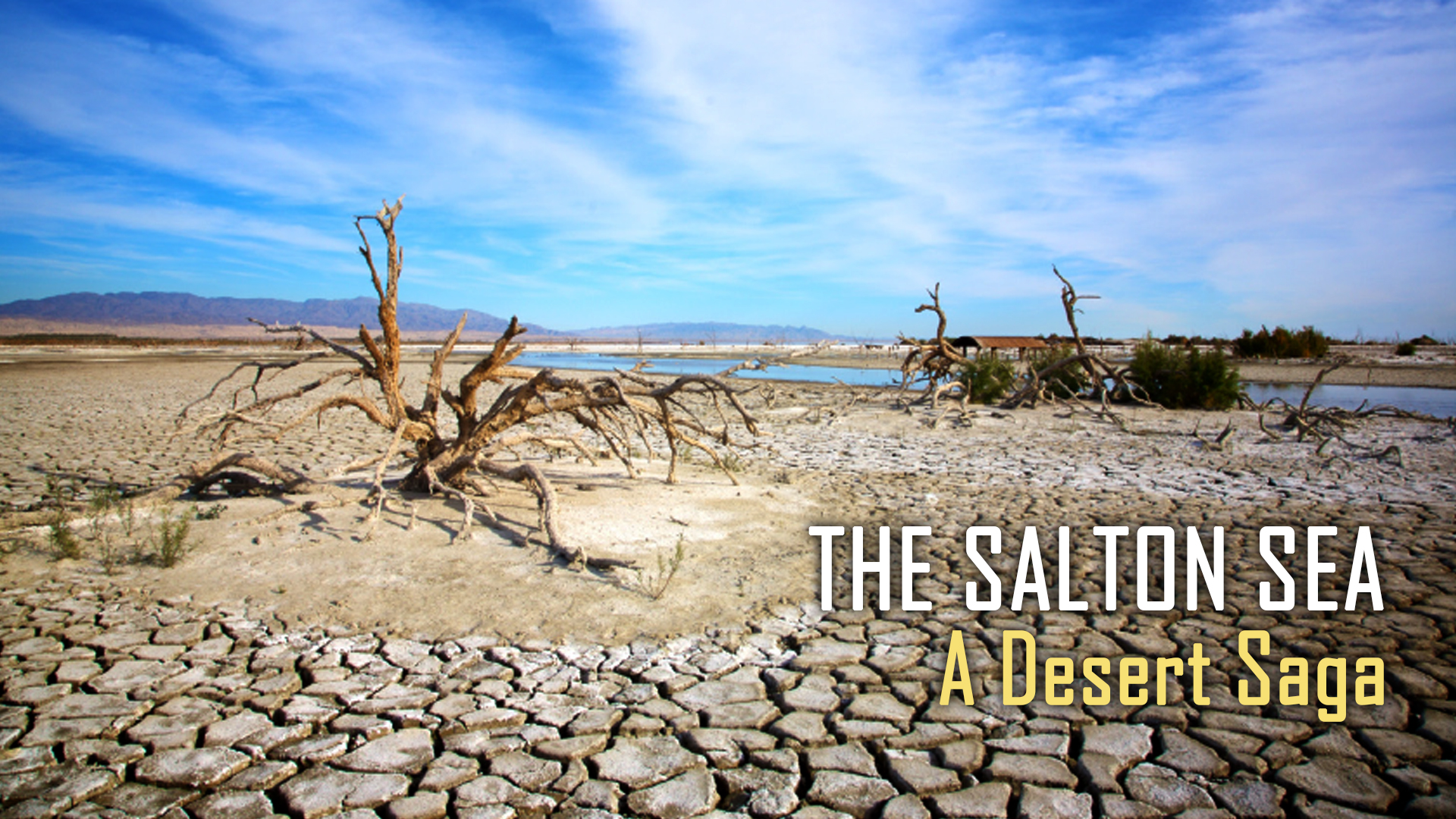 The Salton Sea: A Desert Saga