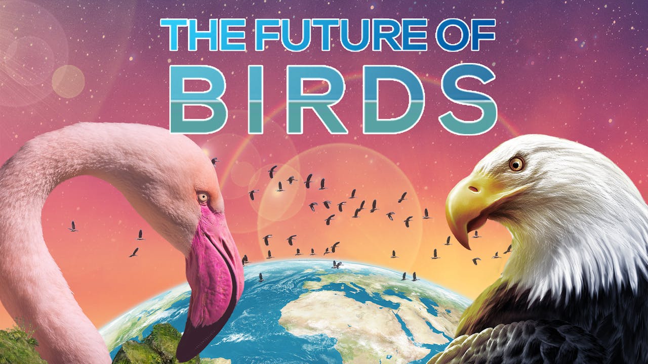 The Future of Birds