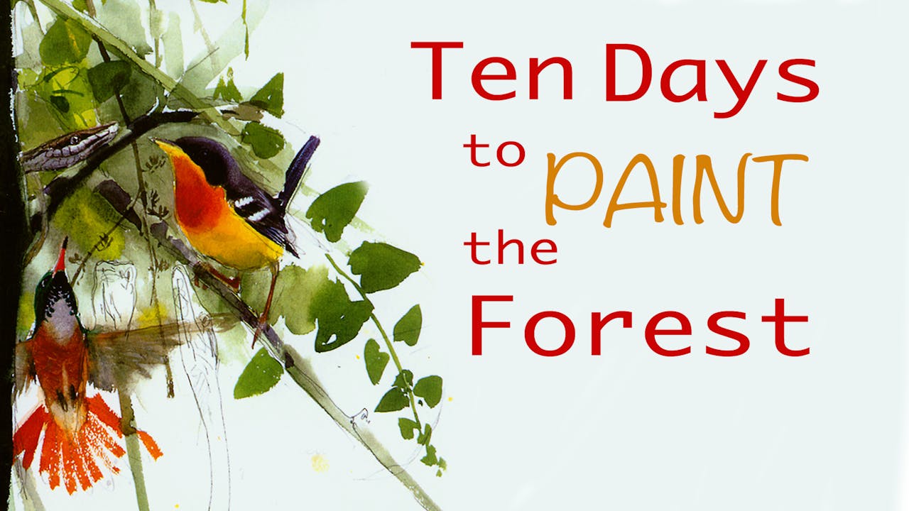 Ten Days to Paint the Forest