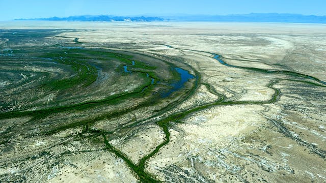 TRAILER A Changing Delta: Restoring the Colorado River Delta in Mexico